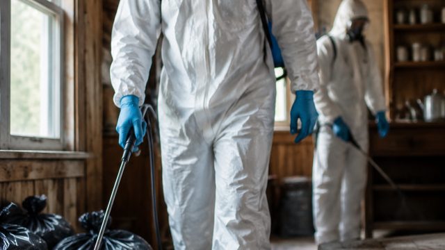 Hantavirus Quarantine Concludes: Analyzi